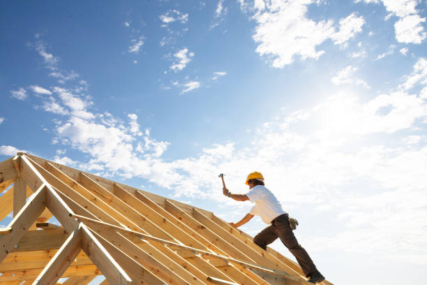 Best Roof Moss and Algae Removal  in Heath, TX